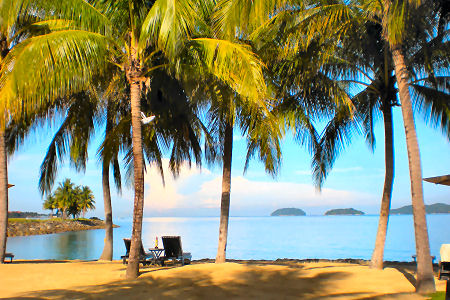 Borneo Beach with Palm trees and sea