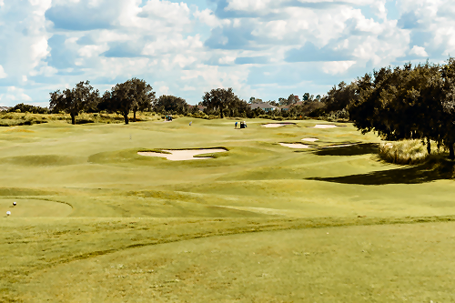 Golf Course with bunkers and trees