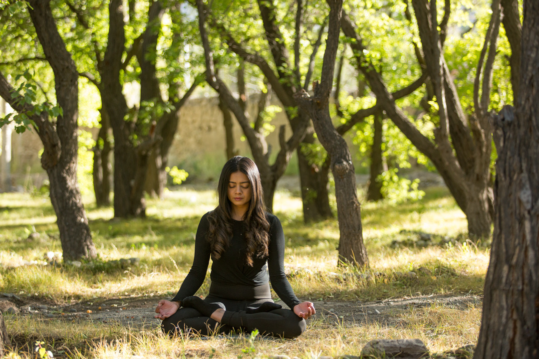 Yoga in an orchard