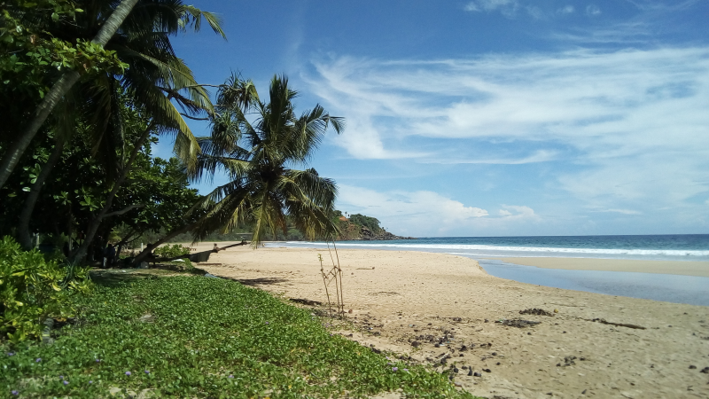 Sri Lanka sandy beach and blue sea